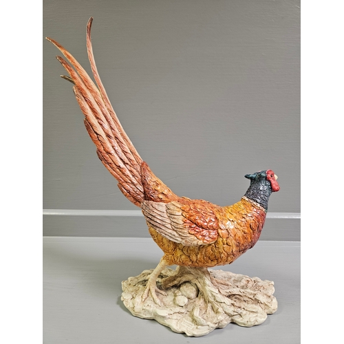 92 - Border Fine Arts 'Pheasant' B1534 By K Sherwin