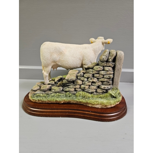 103 - Border Fine Arts 'Charolais Cow And Calf' By K Armstrong With Box On Wood Base