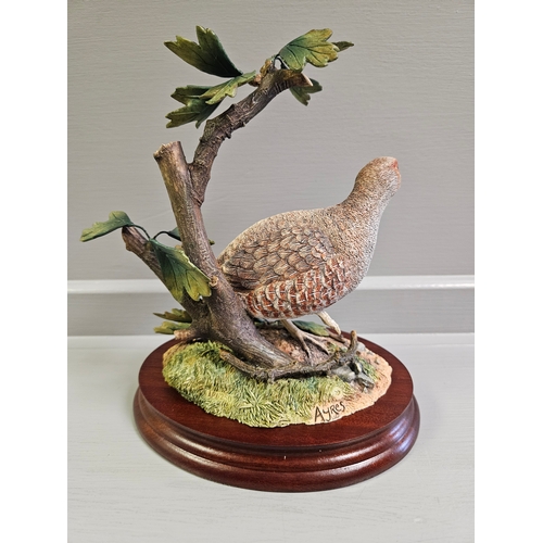 34 - Border Fine Arts 'Grey Partridge' B1030 AP1/250 By R Ayres On Wood Base With Box