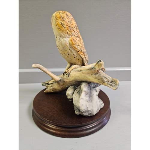 36 - Border Fine Arts 'Barn Owl' L67 Limited Edition 217/950 By F Divita With Certificate On Wood Base