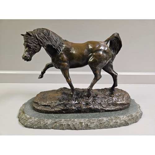 59 - Border Fine Arts Bronze 'Arab Stallion' L05B Limited Edition 95/500 On Slate Base By V Hayton