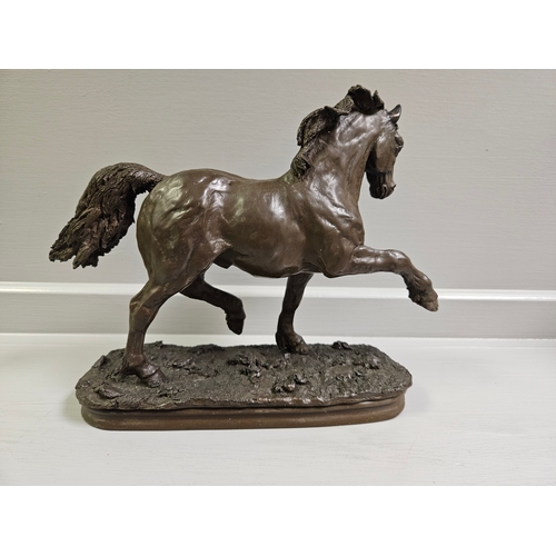 62 - Border Fine Arts Bronze 'Welsh Cob' L11B Limited Edition 36/350 By A Wall