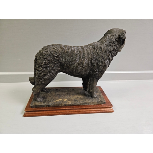 72 - Border Fine Arts Bronze 'St Bernard Dog' L65 Limited Edition 12/250 By E Waugh On Wood Base