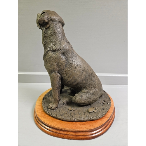 73 - Border Fine Arts Bronze 'Labrador Dog' MT02 By M Turner On Wood Base