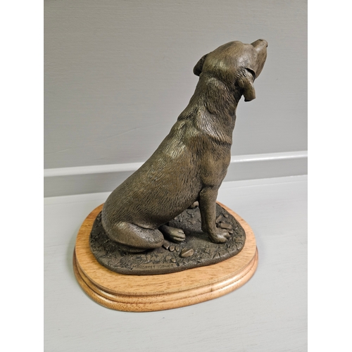 74 - Border Fine Arts Bronze 'Labrador Bitch'  MT02 By M Turner On Wood Base