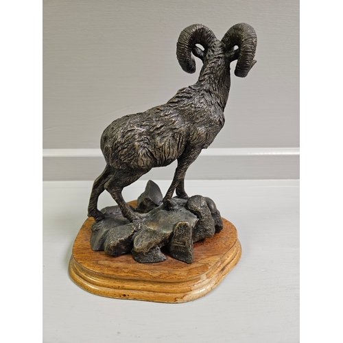 75 - Border Fine Arts Bronze 'Big Horn Ram' Limited Edition 250/1450 By D Parker On Wood Base