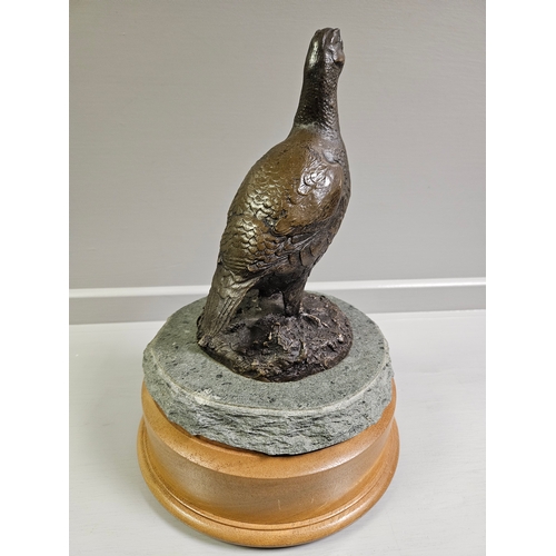 76 - Border Fine Arts Bronze 'Grouse' By V Hayton