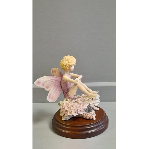 141 - Border Fine Arts - The Flower Fairy Collection 'Candytuft Fairy' FF1/3 By D Geenty On Wood Base With... 