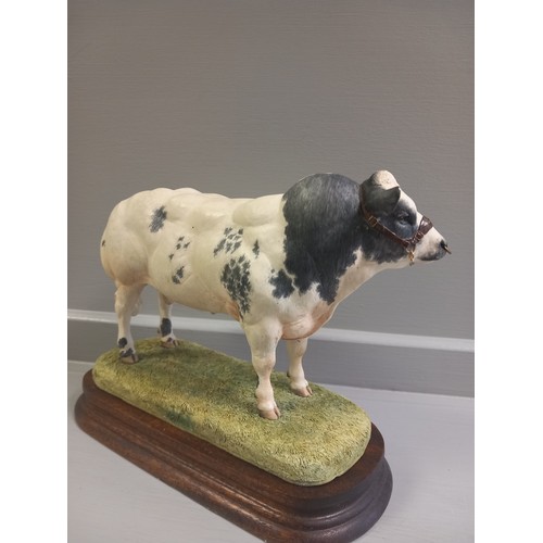 146 - Border Fine Arts 'Belgian Blue Bull' B0406 By R Ayres Limited Edition 101/1250 On Wood Base With Box