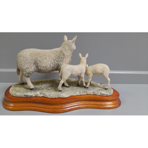 157 - Border Fine Arts 'North Country Cheviot Ewe With Scotch Half-Bred Lambs' L147 By R Ayres Limited Edi... 