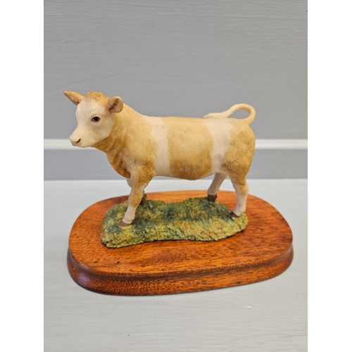 315 - Border Fine Arts 'Simmental Calf' 103 By R Ayres On Wood Base