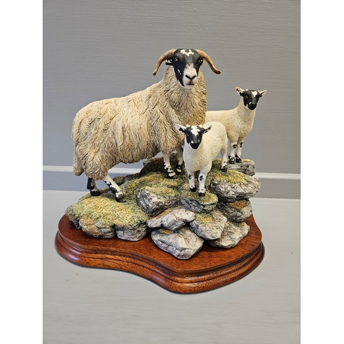 163 - Border Fine Arts 'A Ewe And A Pair' B0238 Limited Edition 27/1750 By R Ayres With Certificate On Woo... 