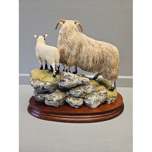 163 - Border Fine Arts 'A Ewe And A Pair' B0238 Limited Edition 27/1750 By R Ayres With Certificate On Woo... 