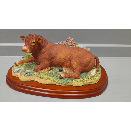 313 - Border Fine Arts 'Limousin Bull' Lying A5272 On Wood Base