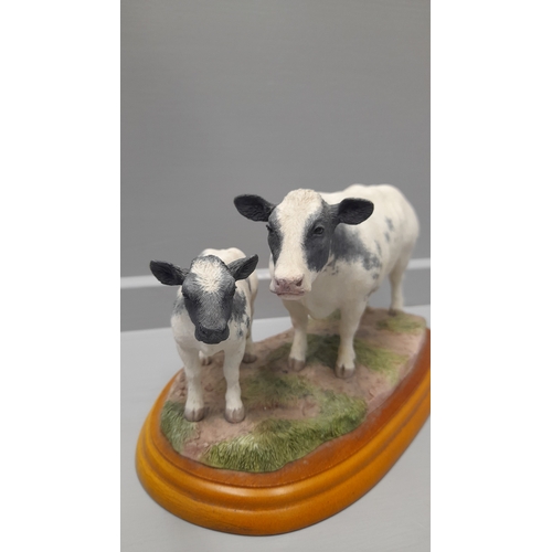 312 - Border Fine Arts 'Belgian Blue Cow And Calf' A1252 On Wood Base