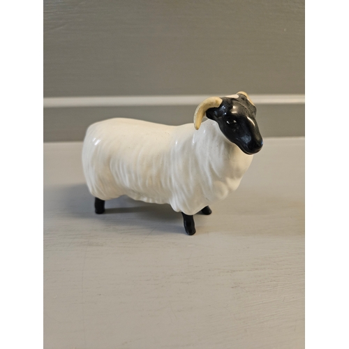 404 - Beswick Blackfaced Ewe 1765 H8cm