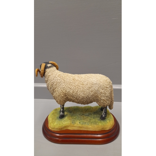 172 - Border Fine Arts 'Swaledale Ram' A1243 On Wood Base And 'Swaledale Ewe And Lambs' A1248 On Wood Base