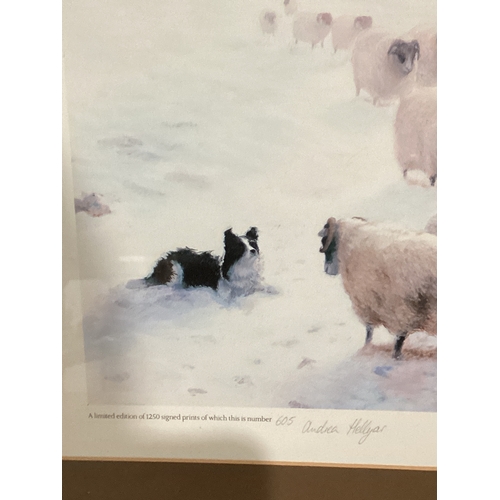 564 - Border Fine Arts Print 'Winter Feeding' Limited Edition 605/1250 By Andrea Hellyar 1988 W73cm H68cm