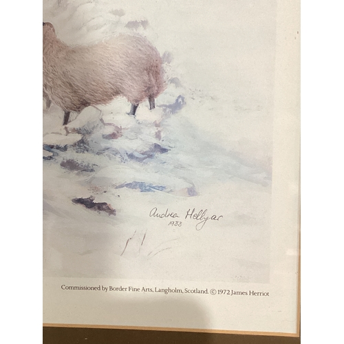 564 - Border Fine Arts Print 'Winter Feeding' Limited Edition 605/1250 By Andrea Hellyar 1988 W73cm H68cm