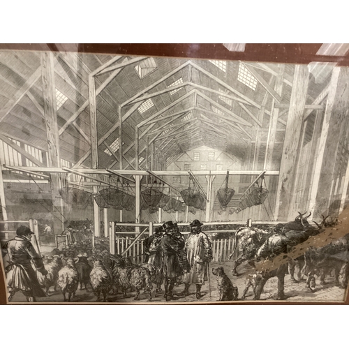 567 - Black & White Etching - Market Scene In Mahogany Frame W50cm H39cm