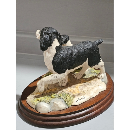 236 - Border Fine Arts Springer Spaniel & Pup (Black & White) 207B By J A Butler (Slight Damage)