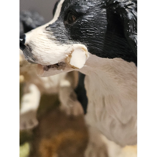 236 - Border Fine Arts Springer Spaniel & Pup (Black & White) 207B By J A Butler (Slight Damage)