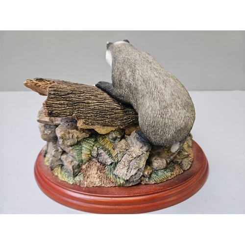 214 - Border Fine Arts Forest Family (Badger Family) A0403 On Wood Base