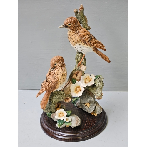 229 - Country Artists 'Pair Thrushes' 04900 On Wood Base