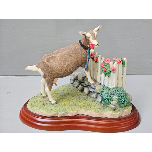 230 - Border Fine Arts 'Prize Blooms' A0458 Goat Figurine On Wood Base