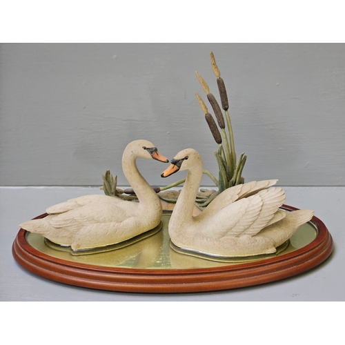 253 - Border Fine Arts Mute Swans A0006 On Wood Base (Slight Damage)