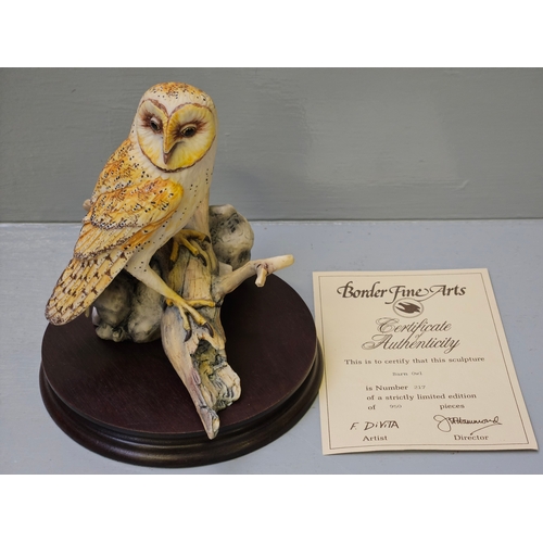 254 - Border Fine Arts 'Barn Owl' L67 Limited Edition  217/950 By F Divita With Certificate On Wood Base