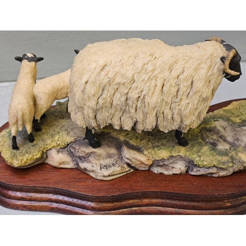 267 - Border Fine Arts 'Blackfaced Ewe & Border Collie B104 On Wood Base