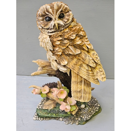 275 - Border Fine Arts 'Tawny Owl' WB70 Limited Edition 487/1850