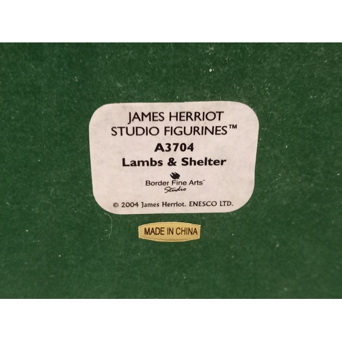 241 - Border Fine Arts - James Herriot Studio 'Lambs & Shelter' A3704 On Wood Base, Tug Of War JH61 By D W... 