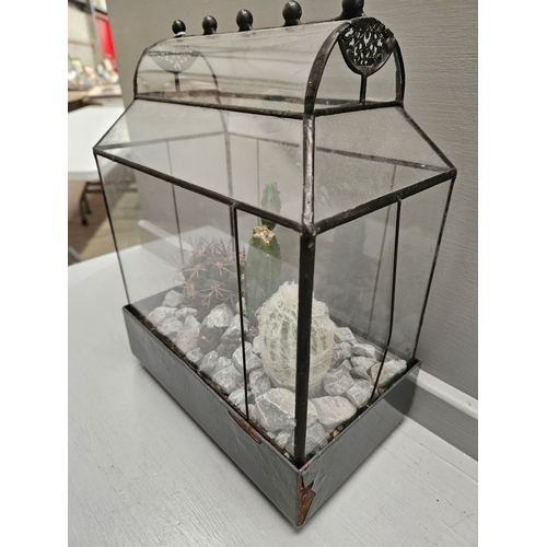 335 - Vintage Terrarium With Live Cacti H31cm