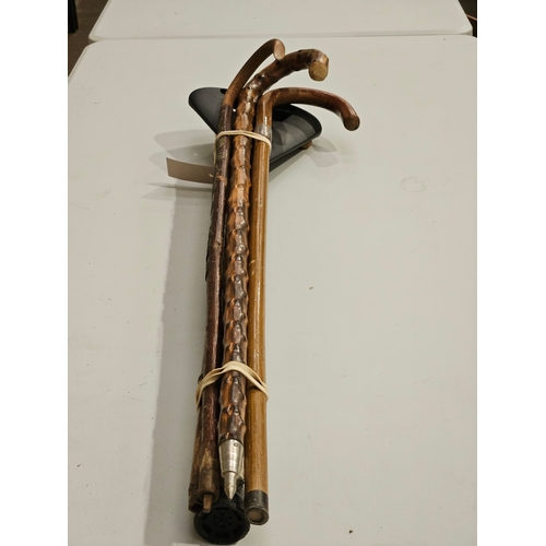 352 - 6 Walking Sticks In Brass Stand