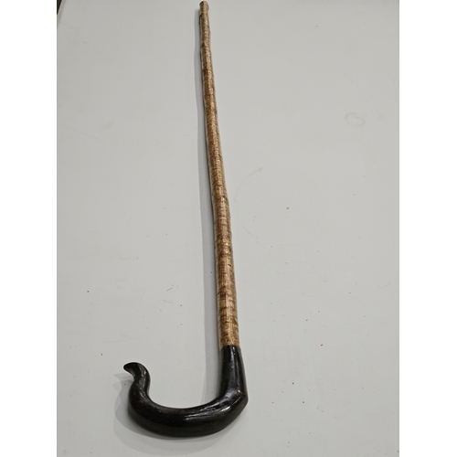 431 - Horn Handled Hazel Walking Stick