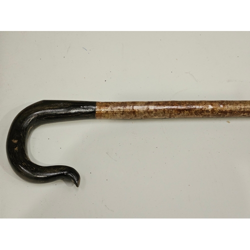 431 - Horn Handled Hazel Walking Stick