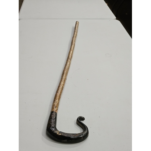 432 - Horn Handled Hazel Walking Stick