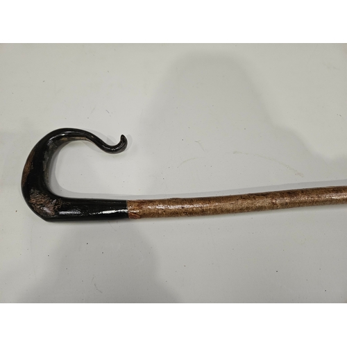 432 - Horn Handled Hazel Walking Stick