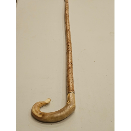 433 - Horn Handled Hazel Walking Stick