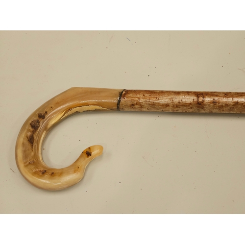 433 - Horn Handled Hazel Walking Stick