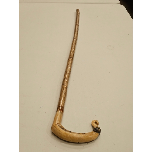 434 - 'Tup' Horn Handled Hazel Walking Stick