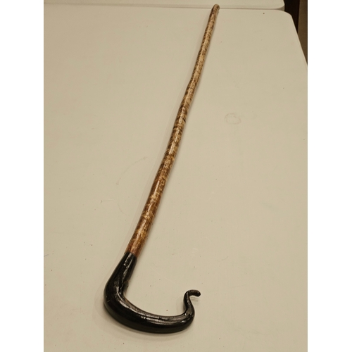 435 - Horn Handled Hazel Walking Stick