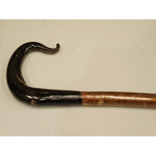 435 - Horn Handled Hazel Walking Stick