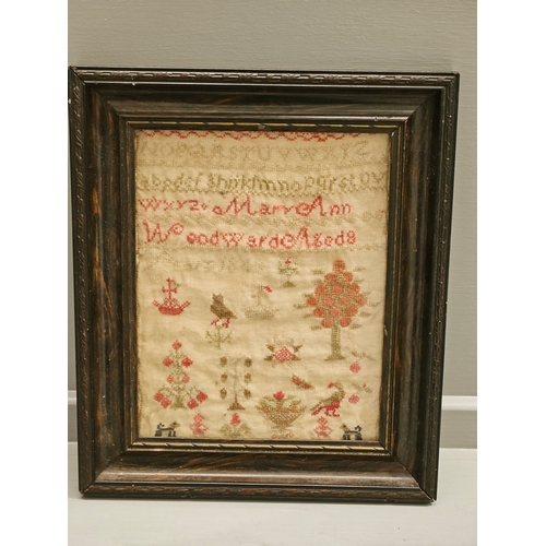 439 - Early Sampler In Frame (1843)