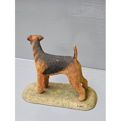 267 - Border Fine Arts 'Airdale Terrier' By R Ayres H11cm