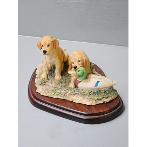 272 - 2 Border Fine Arts Labrador Figures