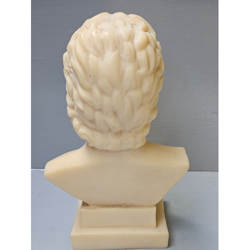 473 - 'Alexander The Great' Bust H30cm