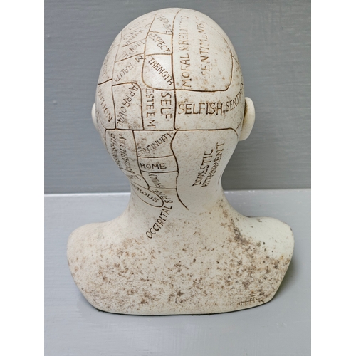 596 - Small Phrenology Head H15cm